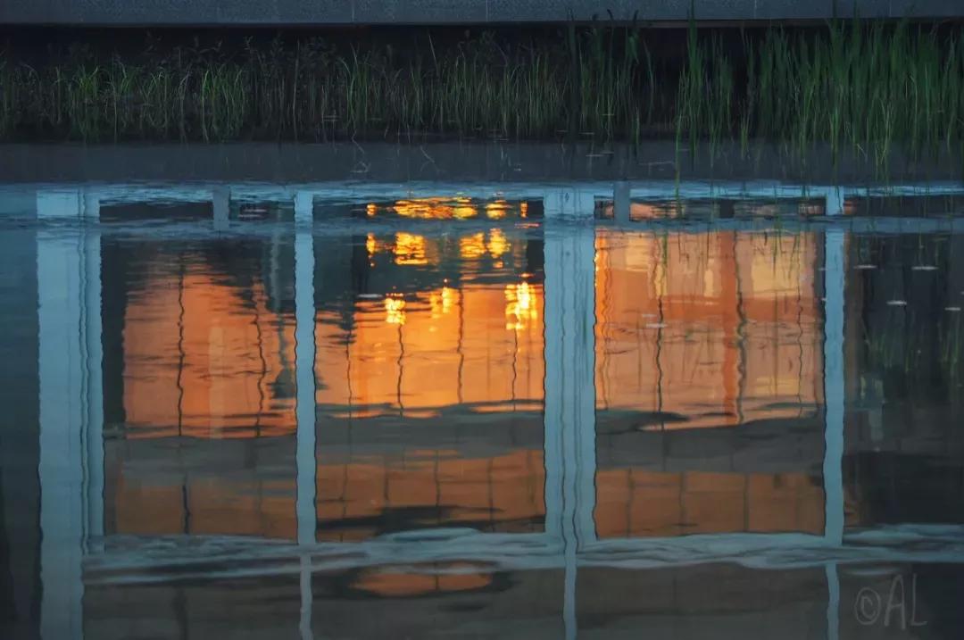 江苏昆山杜克大学图片,昆山杜克大学堪比985