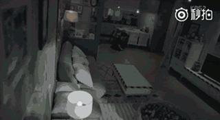 盘点谢娜摔倒名场面,谢娜坐轮椅突然摔倒