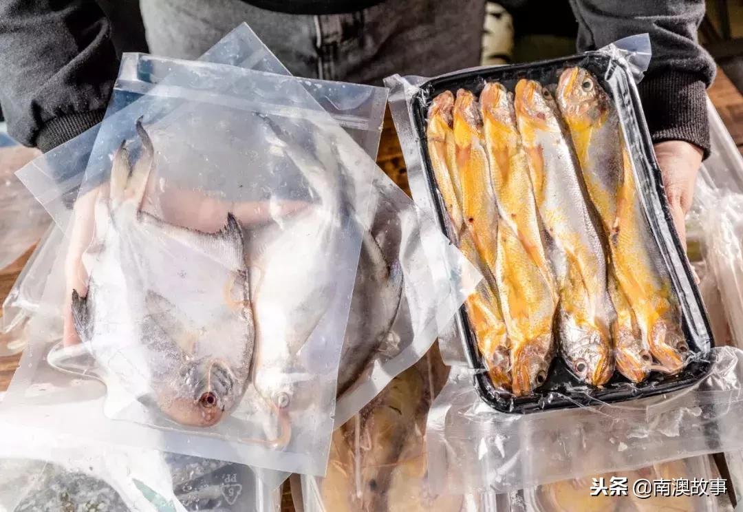 南澳岛渔民捕捞视频,南澳岛渔船捕捞