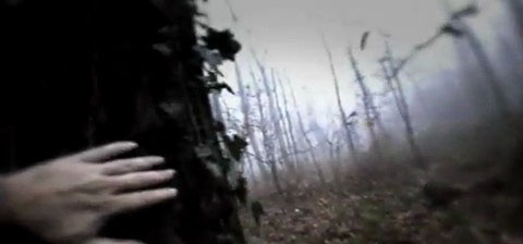 心理学四大性格,心理学四大人格