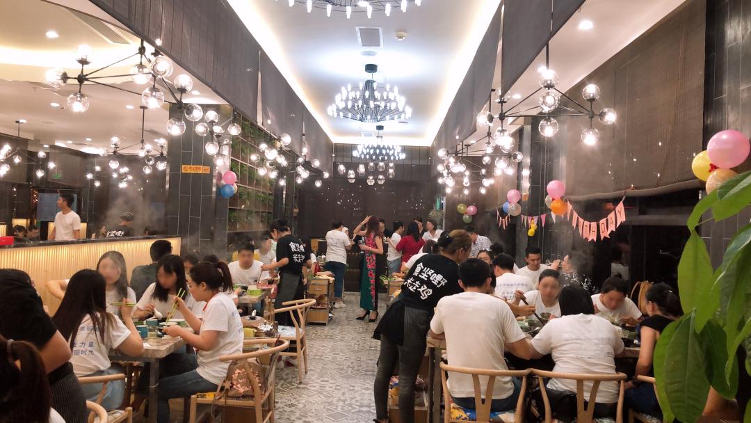 泰国鸡和缅鸡杂交后代,中泰越混血椰子鸡