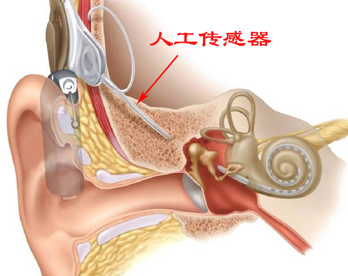 为什么录音感觉自己的声音不好听,为什么听录音会觉得自己声音难听