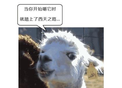 每天嚼5包槟榔连续吃10年,33岁小伙每天嚼两包槟榔嘴巴张开