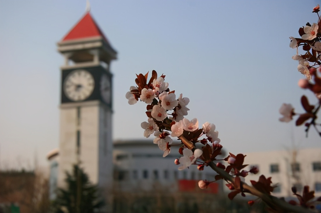 毕业去向落实情况核验,毕业去向落实率和就业率区别