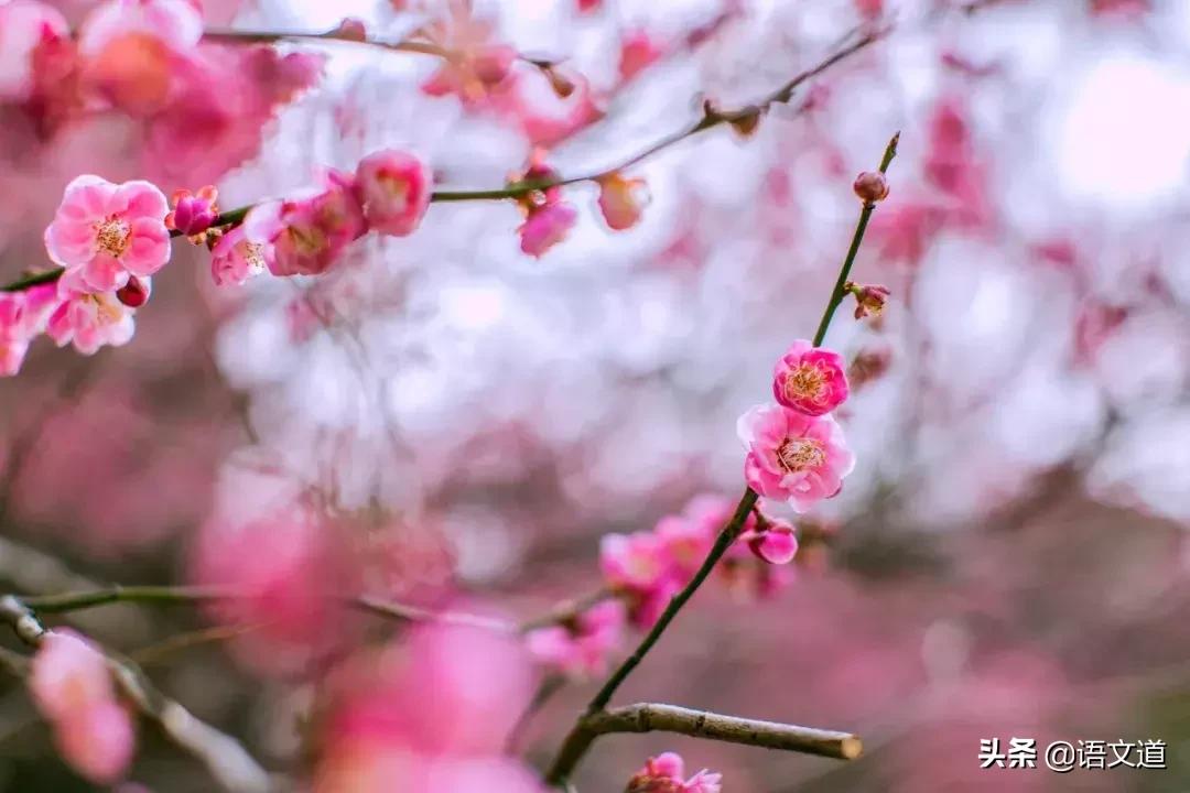 这20位诗人用30首诗词,写尽了冬天的美