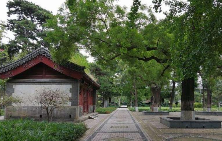 北京公主坟未解之谜,公主坟是哪个公主的墓地