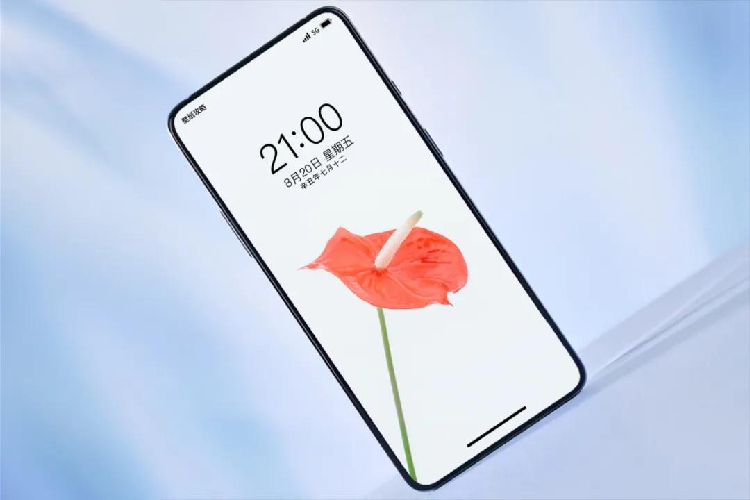 文艺素雅治愈植物手机壁纸,唯美治愈系手机壁纸植物