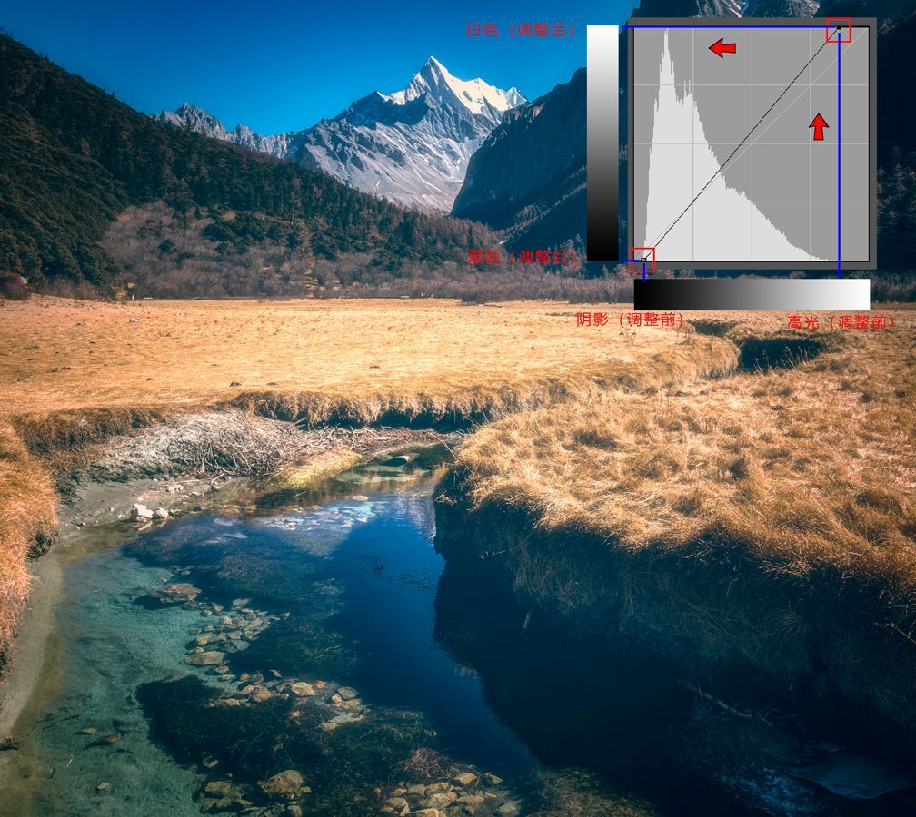 曲线要怎么记容易学得快,曲线难学吗