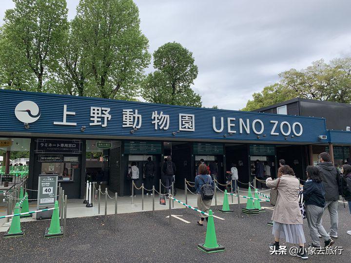 东京的必玩景点推荐一下,东京适合女生去的旅游