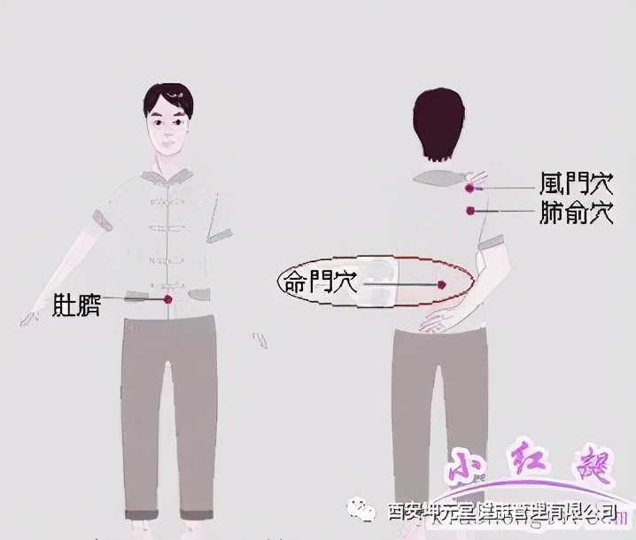 命门穴位的准确按摩视频,成人命门穴推拿手法