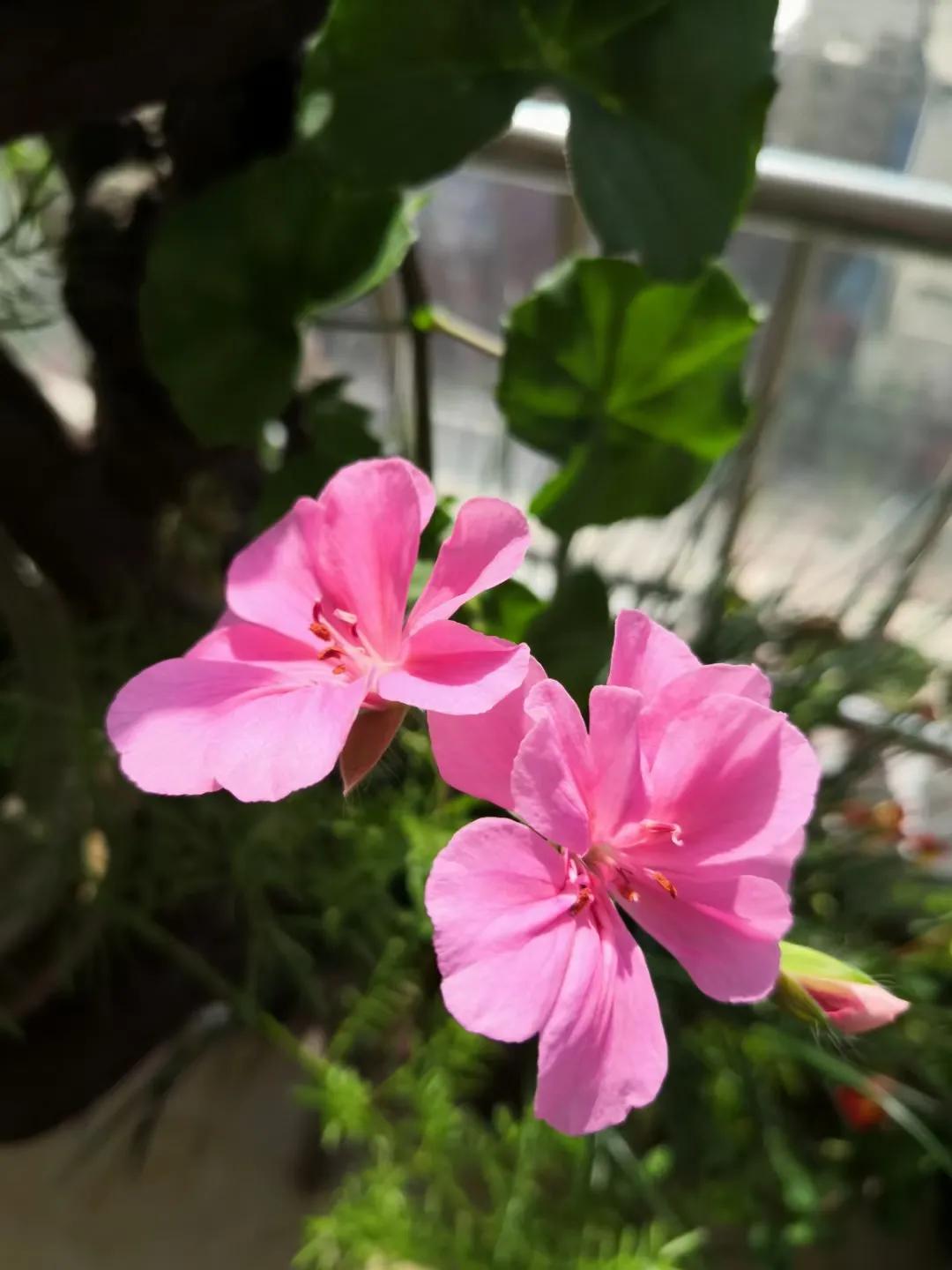 女性心理问题的解决方法,女性朋友心情很压抑怎么开导