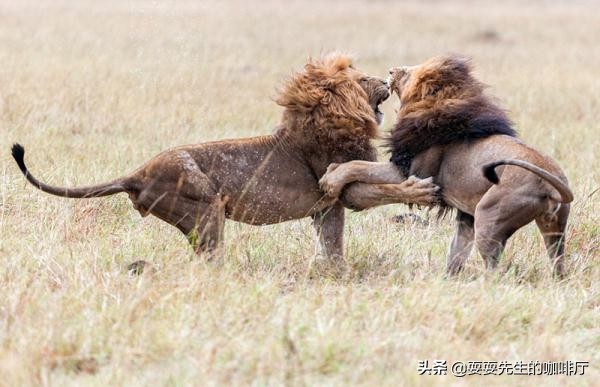 工作环境重要还是工作内容重要,工作环境对工作的影响