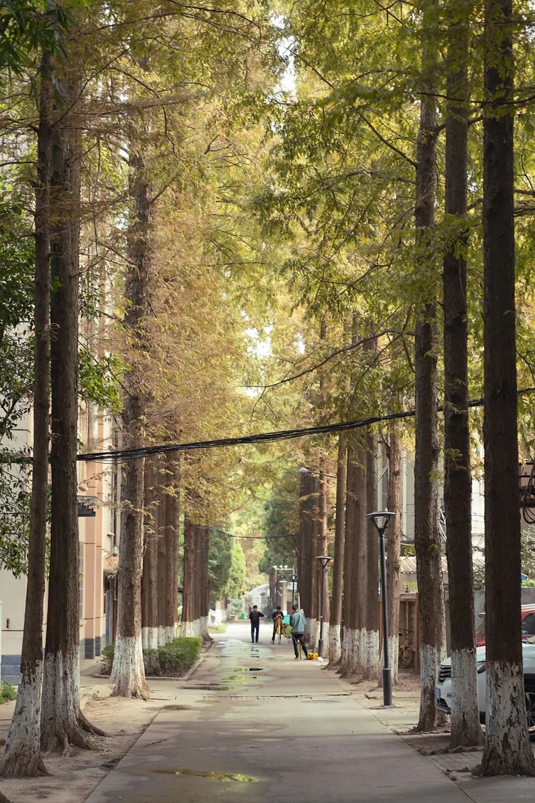 武科大算什么档次,武科大属于什么水平