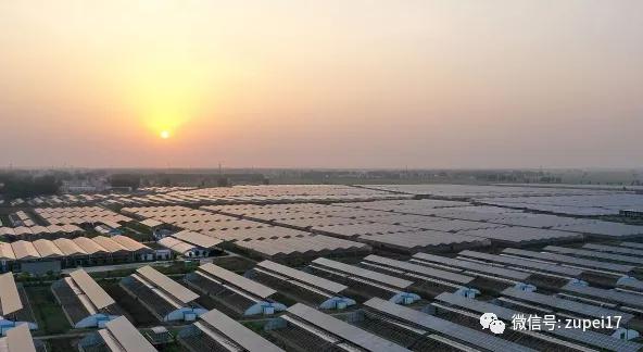 塑料圆拱形大棚,拱形温室大棚