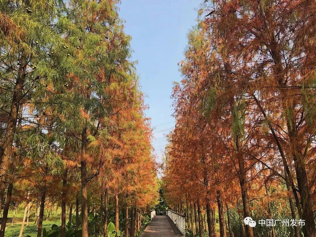 必打卡的宝藏公园,这些宝藏打卡地分分钟让人美到