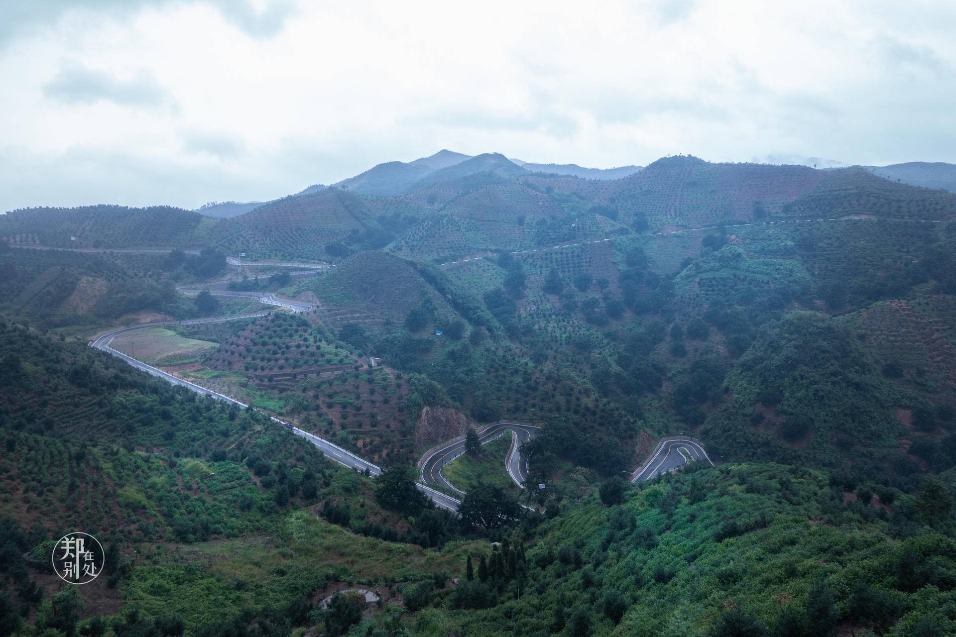 香榧古道,香榧古道徒步路线哪条景色美