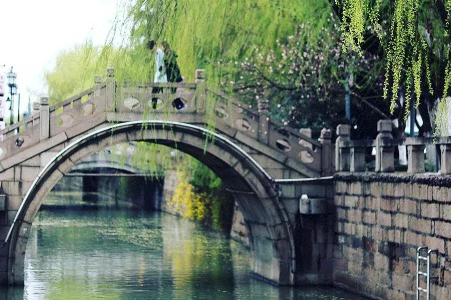 【美文共享】春天，人间皆可爱