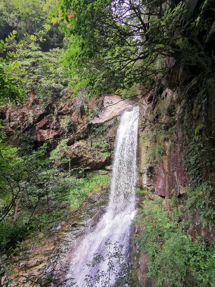 浙江观后感300字,关于浙江天台风景的作文