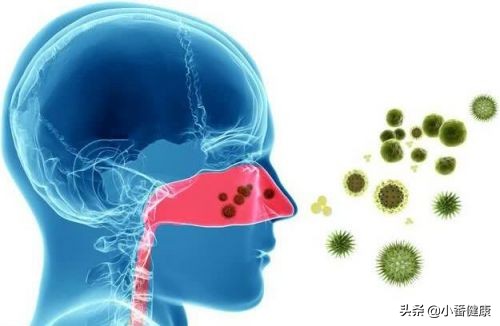 乙肝治疗用恩替卡韦组合用药,乙肝治疗药物国产丙酚替诺福韦