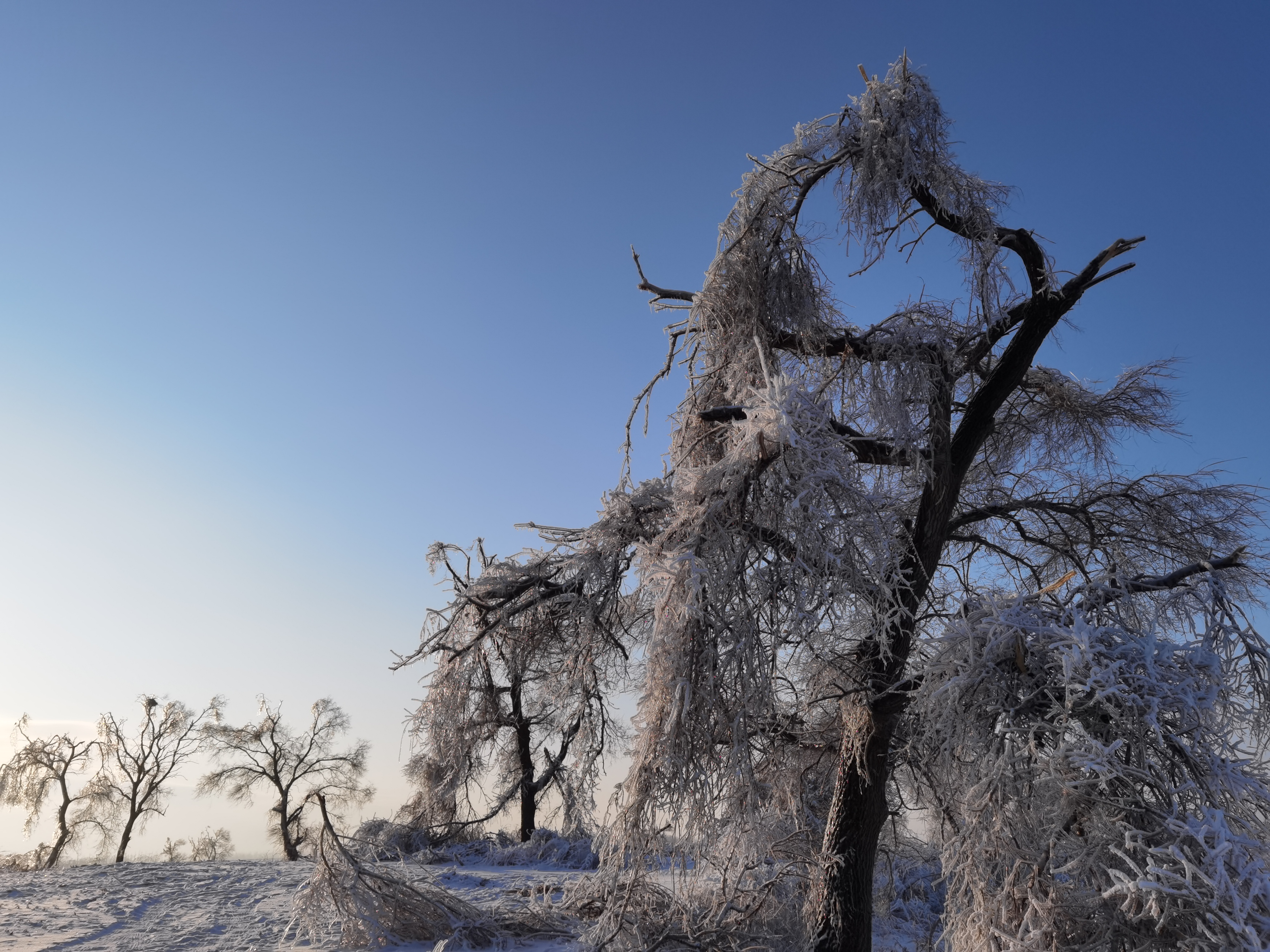 东北旅游人均1500,东北人旅游全攻略