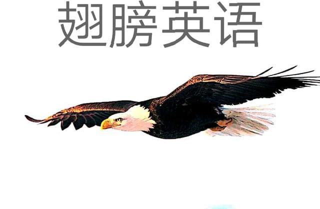 背熟40篇英语短文朗读版,背熟40篇英语短文口语