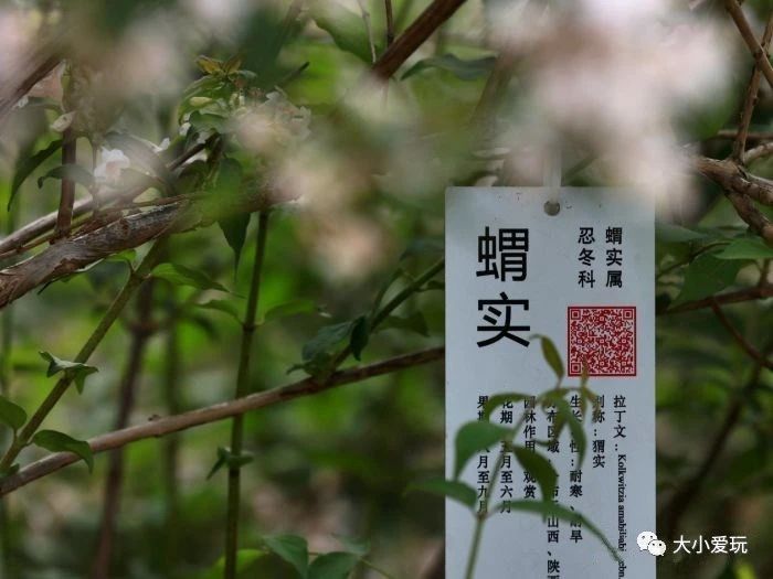北京清明节遛娃好去处,北京适合遛娃的博物馆