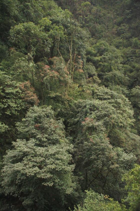 神龙峡：幽谷深深隐桃源