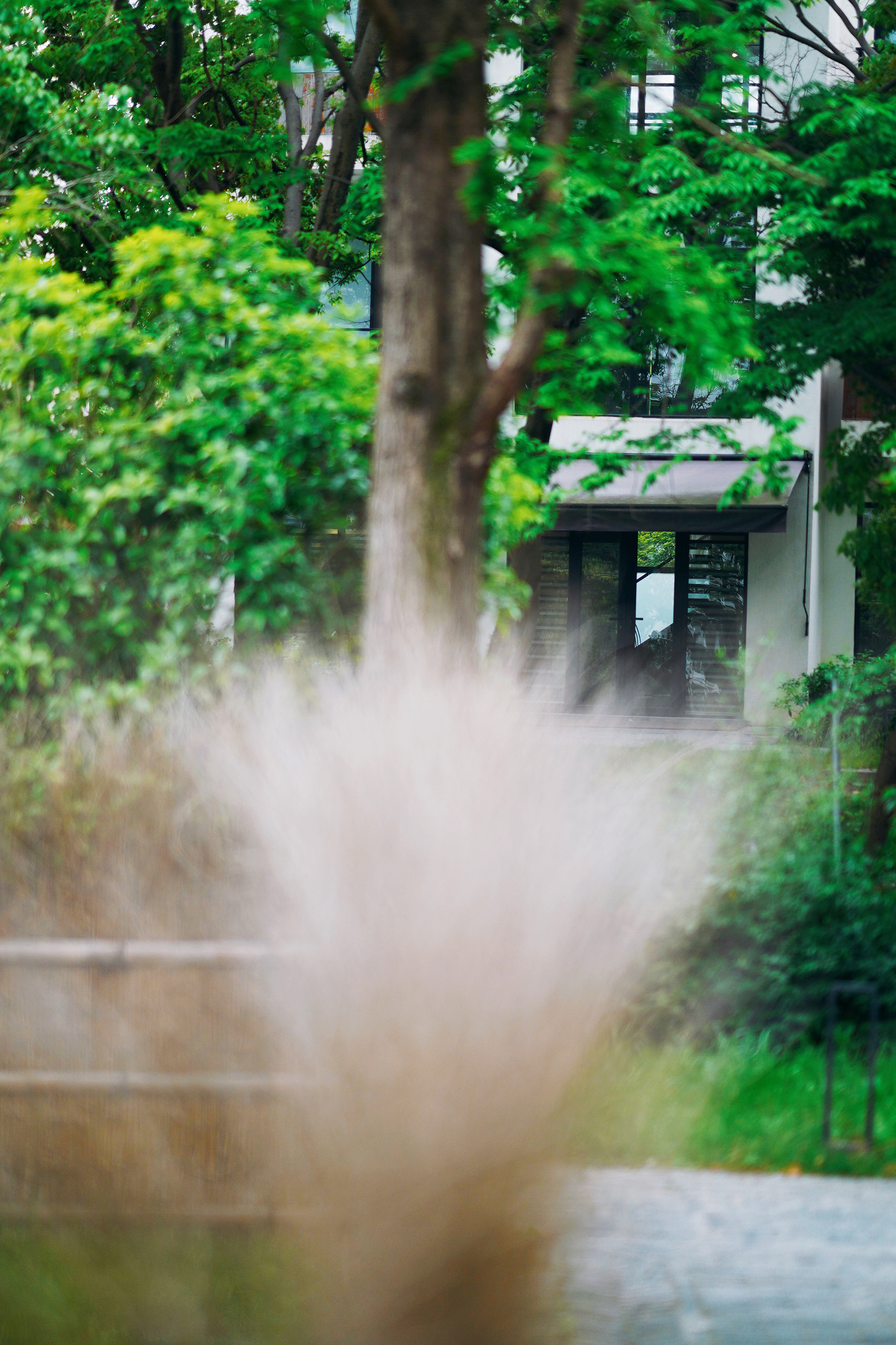 苏州特色民宿推荐,苏州最有特色民宿推荐