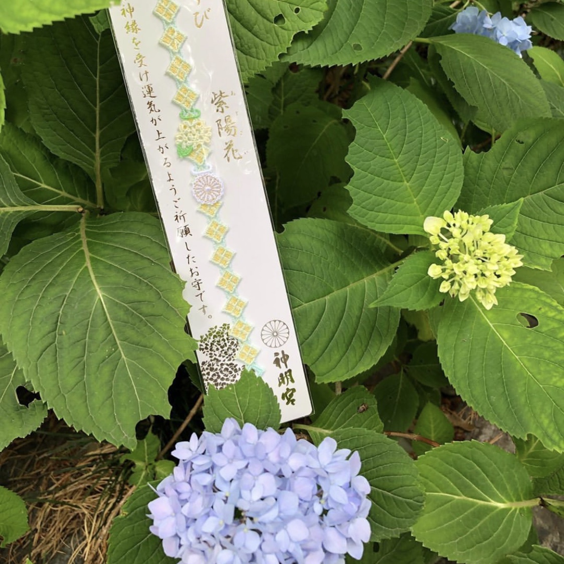 日式可爱小图御守,去日本种草