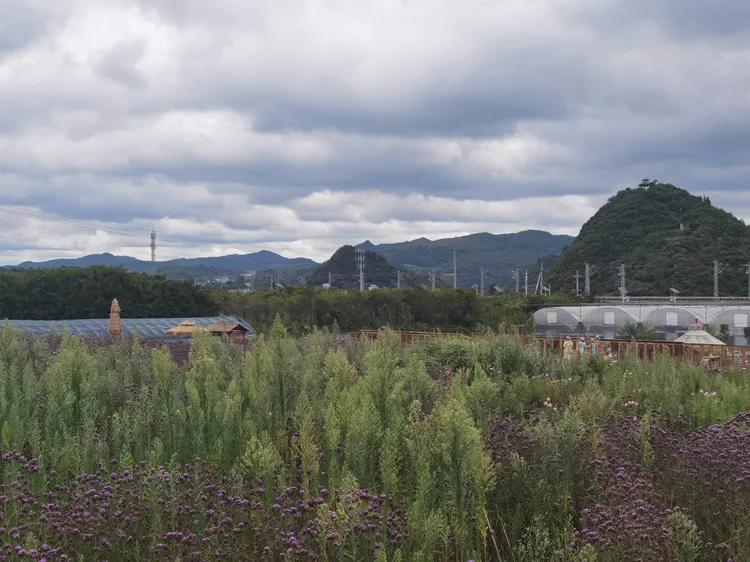贵州蓬莱仙界旅游攻略,白云区蓬莱仙界景点介绍