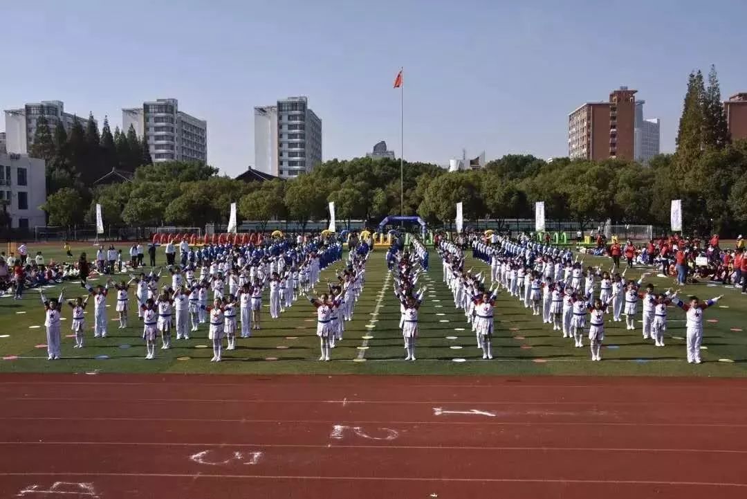 上海最有实力的国际学校,上海徐汇最好的小学