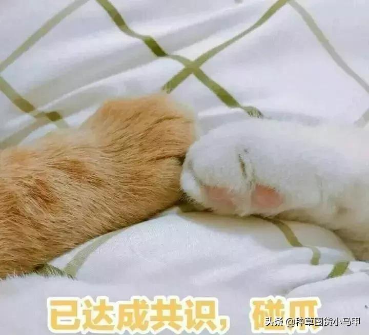 脸大中年女人方脸发型图片,脸大的超短发女生适合什么发型