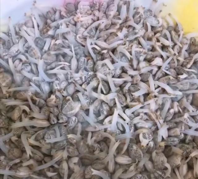 花甲米线为什么生意不好呢,花甲米线为什么受到大众的喜欢