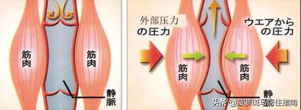吴宣仪这腿线是练出来的吗,吴宣仪又细又长又直的腿