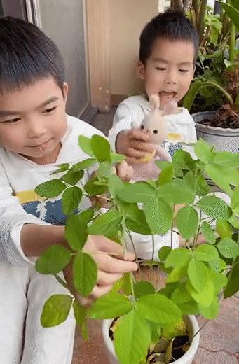 小孩子视力下降怎么可以恢复,儿童视力恢复最佳方法3-6岁