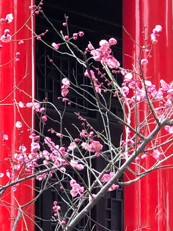 太仓市海天禅寺电话,太仓市海天禅寺进去免费吗