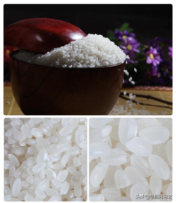 山东省公共基础知识视频,公共基础知识山东分值