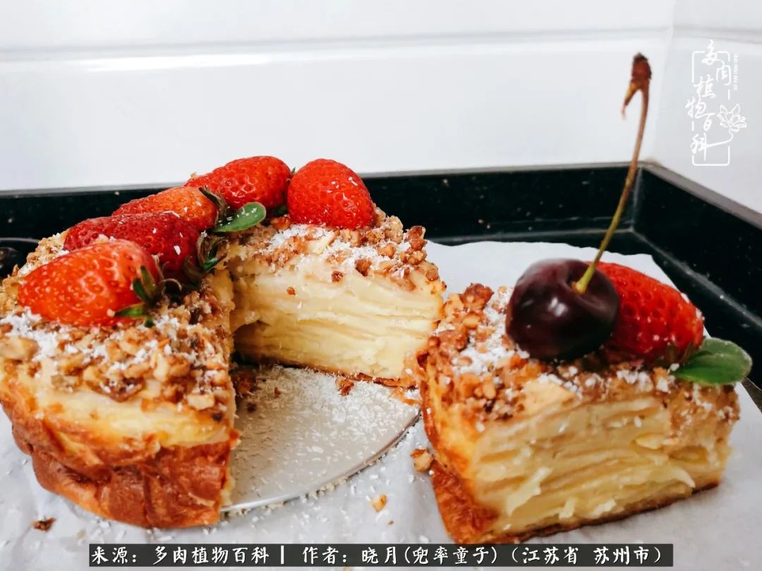 六年时间环游22个国家,却被多肉小萌物征服