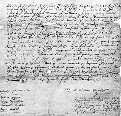 河狸皮毛的优点,河狸皮毛十分名贵