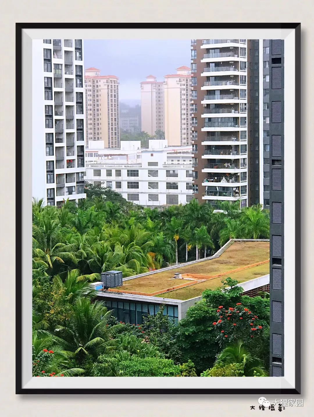 带娃的日子有滋有味,为什么别人的日子过得有滋有味儿