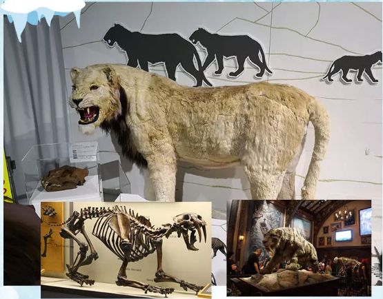 新网红夜市、鬼魅城堡、荧光夜跑…爱折腾的购物中心都这样做活动