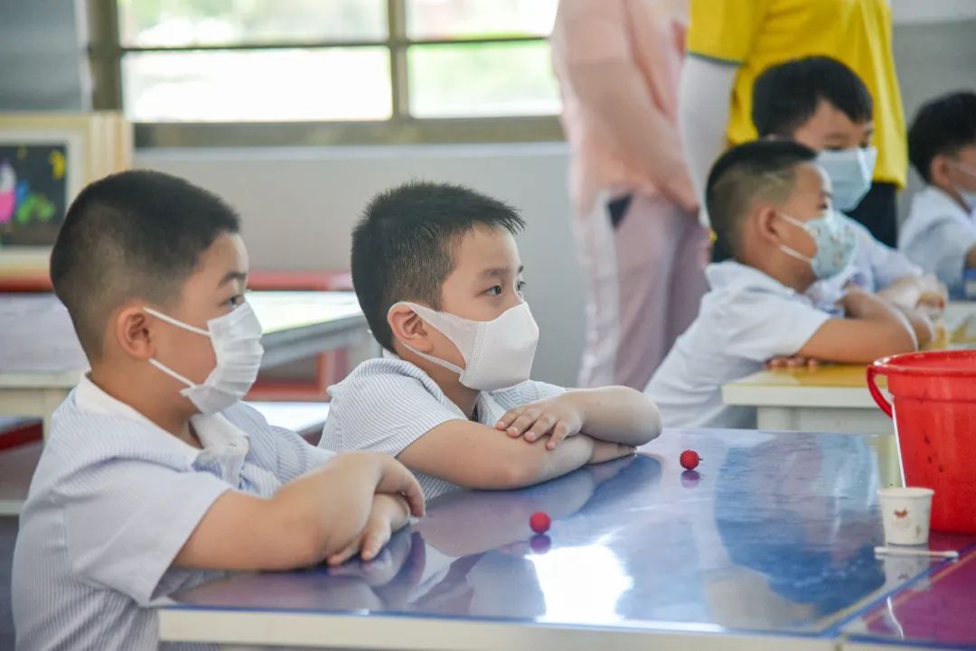 北师大福清附校幼小衔接小学,北师大版幼小衔接学数学
