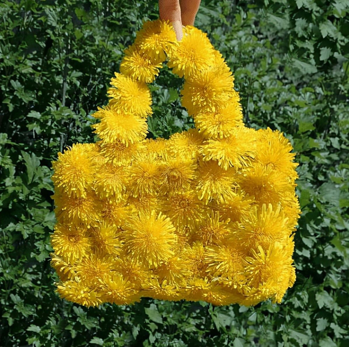 蔬菜中的爱马仕,爱马仕铂金包做法