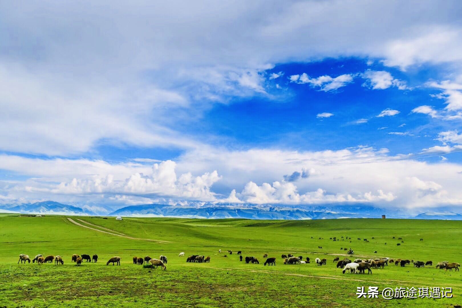 去了北疆还要去南疆吗,现在去南疆还是北疆好