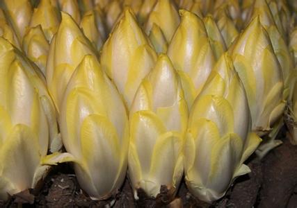 哪些蔬菜是降血糖的天然胰岛素,高血糖吃什么水果和蔬菜降血糖好