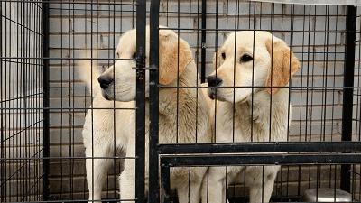 太原农家乐烧烤,山西有山有水的可以烧烤民宿