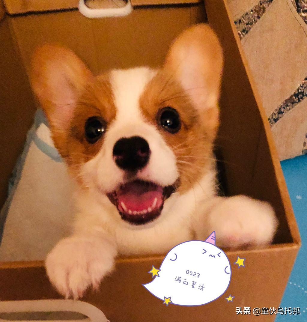 2021人间值得,2019人间值得