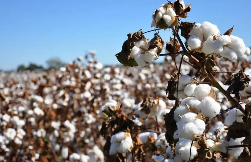 hm声明引网友愤怒,hm被多家电商下架后的反应