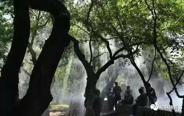 五一有去榆林周边玩的团吗,榆林沿黄公路一日游