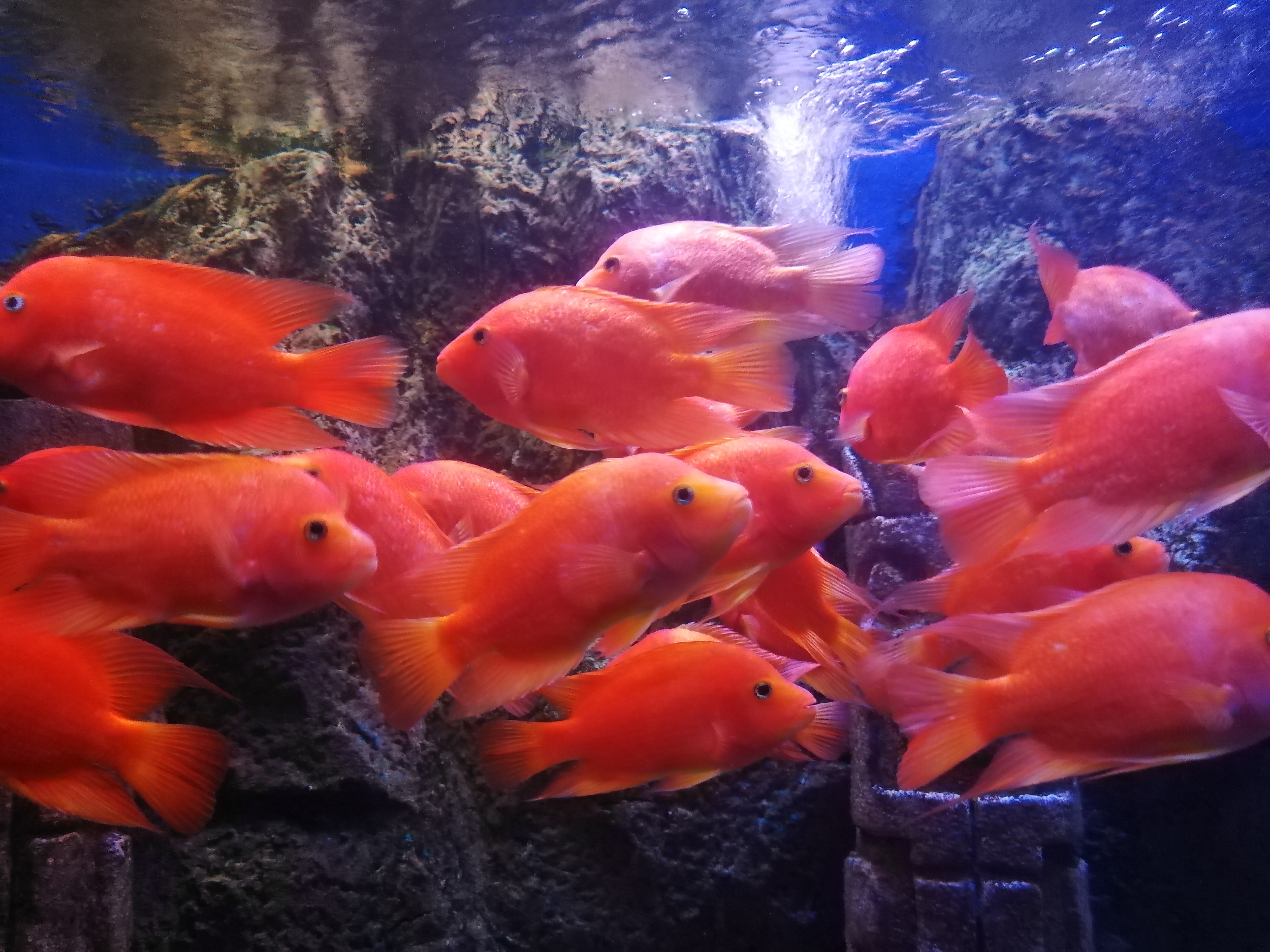 怎样起个好名字36姓名字形相似法